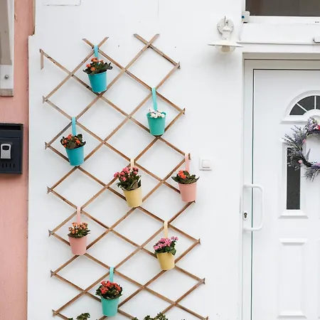 Appartement Velik Sandanski